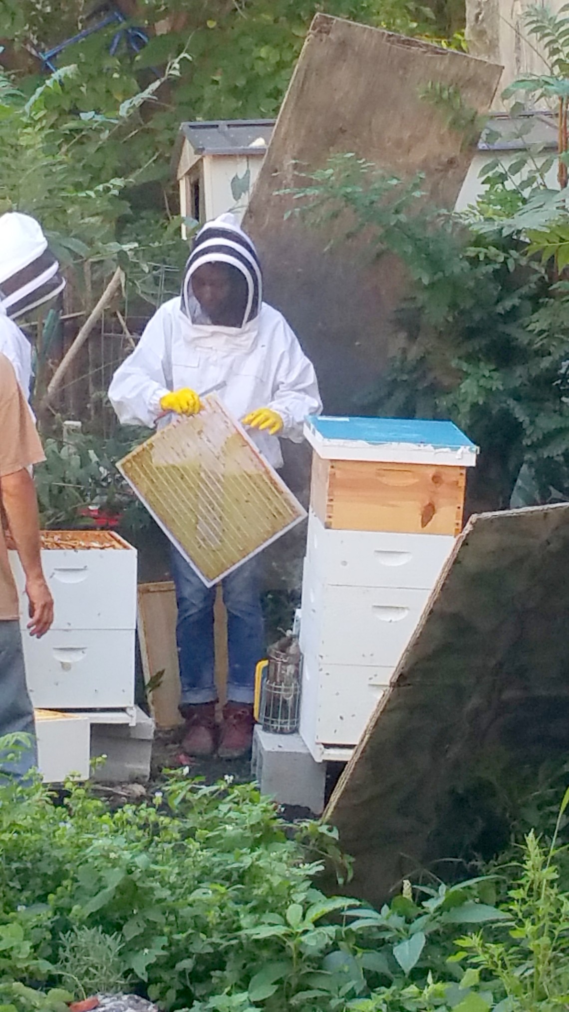 Beekeepers at 462 Halsey Garden, Bklyn