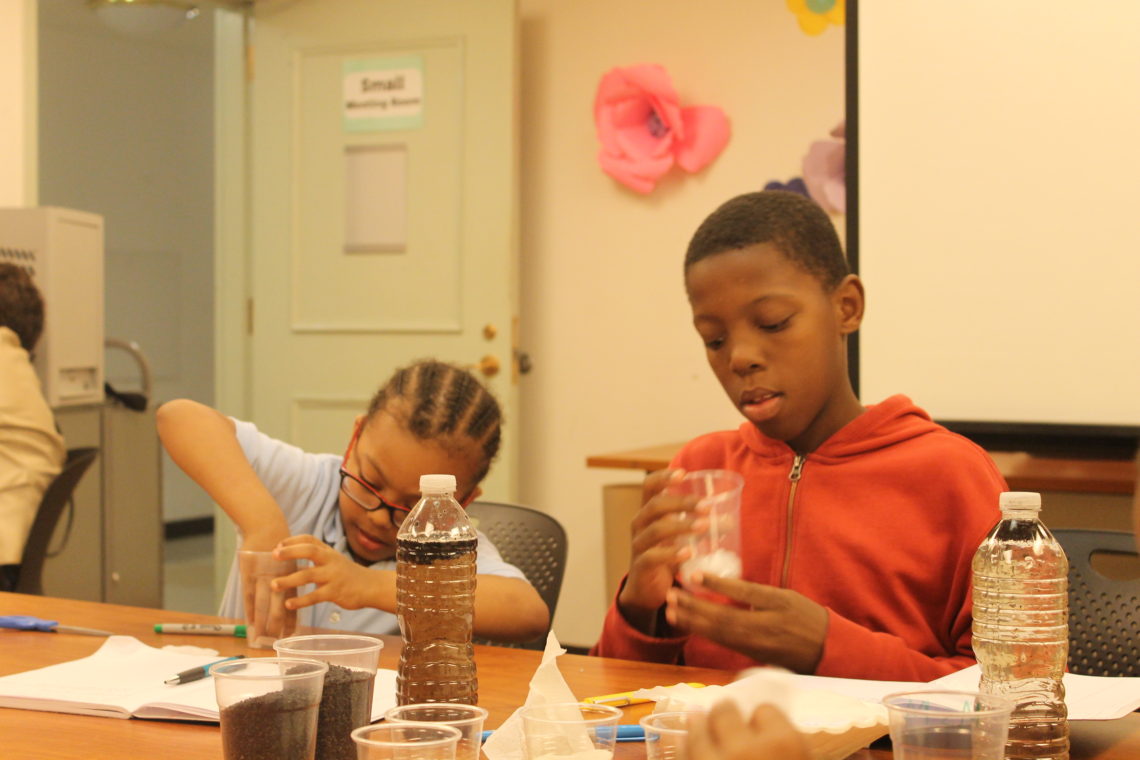 Make a Water Filter!